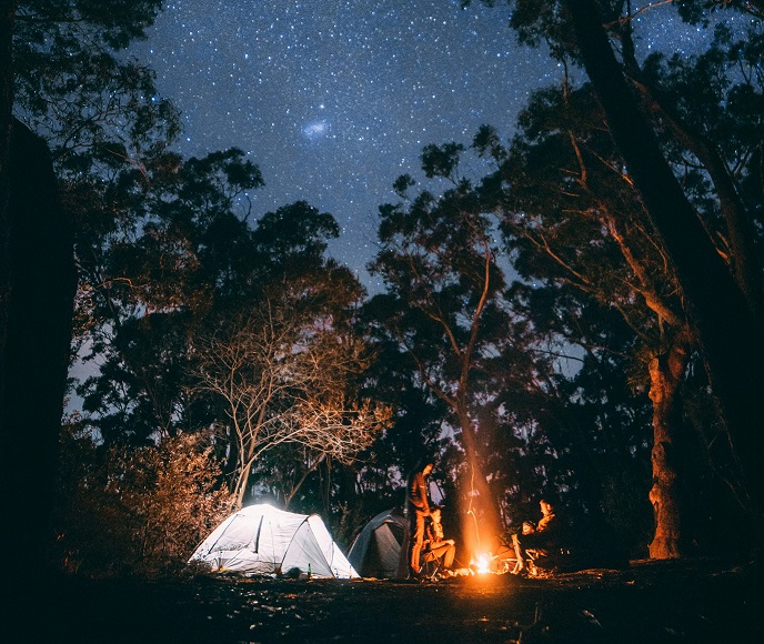 Starlink Roam Communications